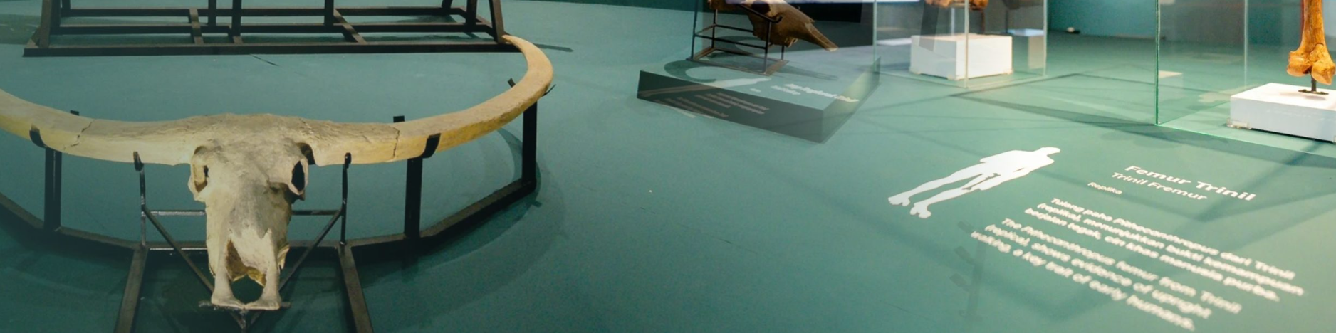 MUSEUM Ne' Gandeng>
